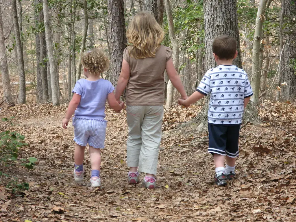 Three children walking hand in hand along a woodland path